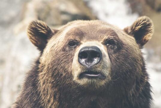 Spring Accessory With Personality