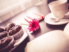 Top Emerging Travel Destinations in the United States for 2026