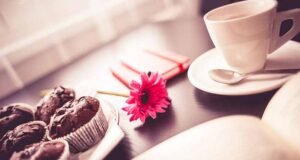 Top Emerging Travel Destinations in the United States for 2026