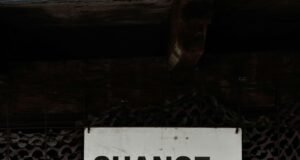 Top Emerging Travel Destinations in the United States for 2026